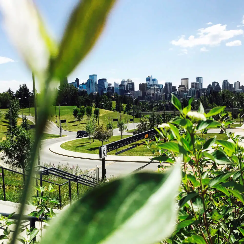 Estratégia Socioambiental